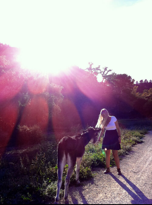 lens-flare-photography