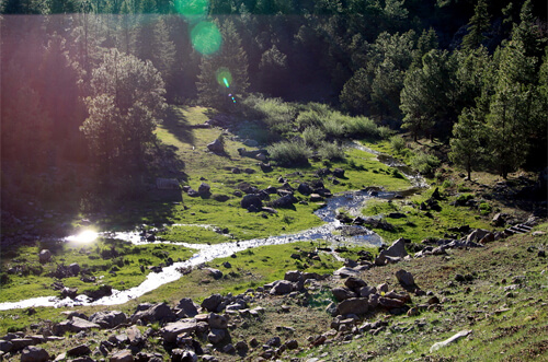 lens-flare-photography