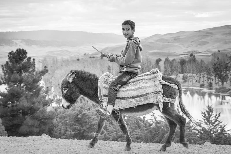 boy on donkey