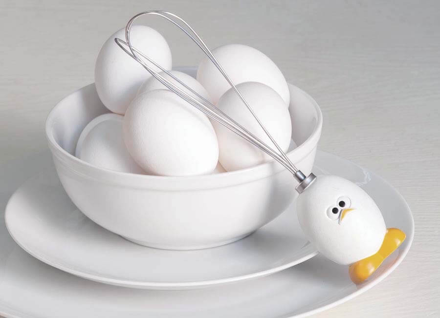 Carolyn D'Alessandro