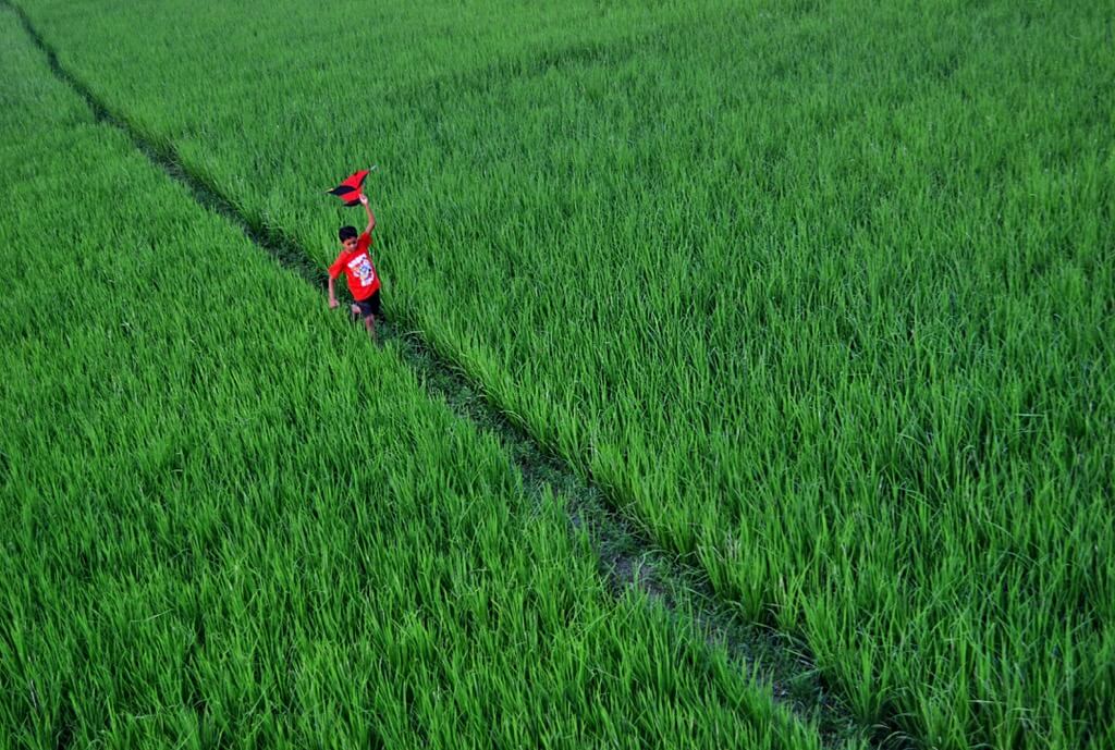 Chinmoy Biswas Aerial Photography