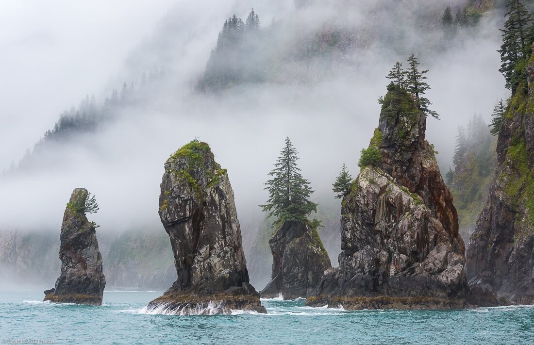 Cove of the Spires in Kenai Fjords national park