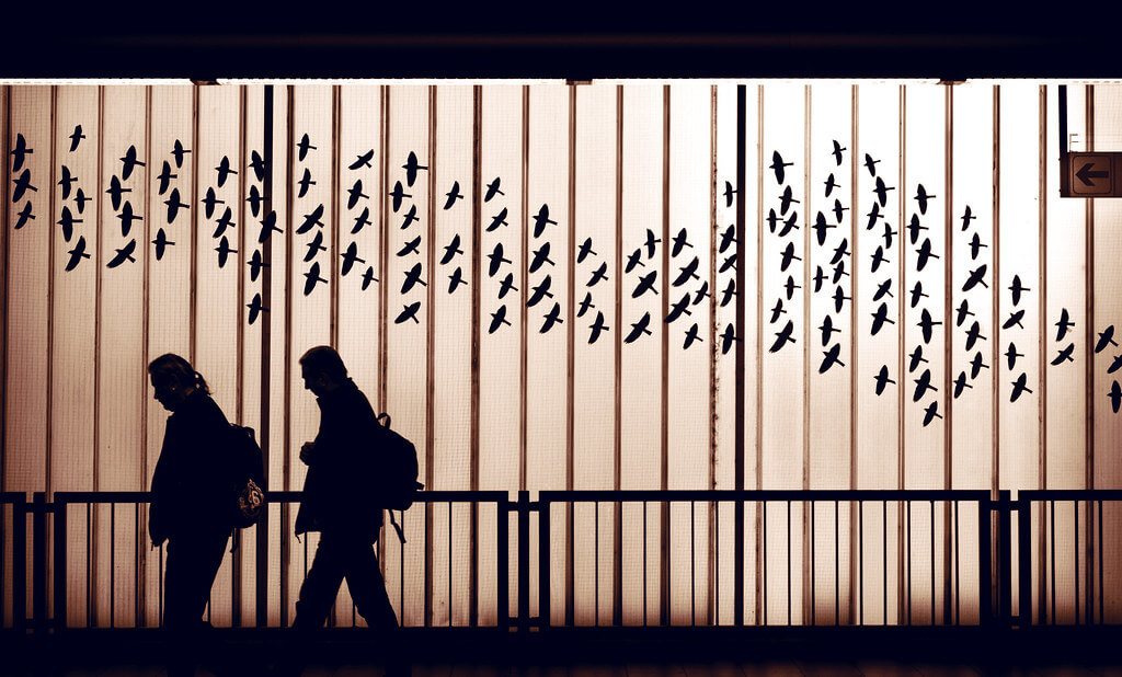 Alexander Mueller - Going South