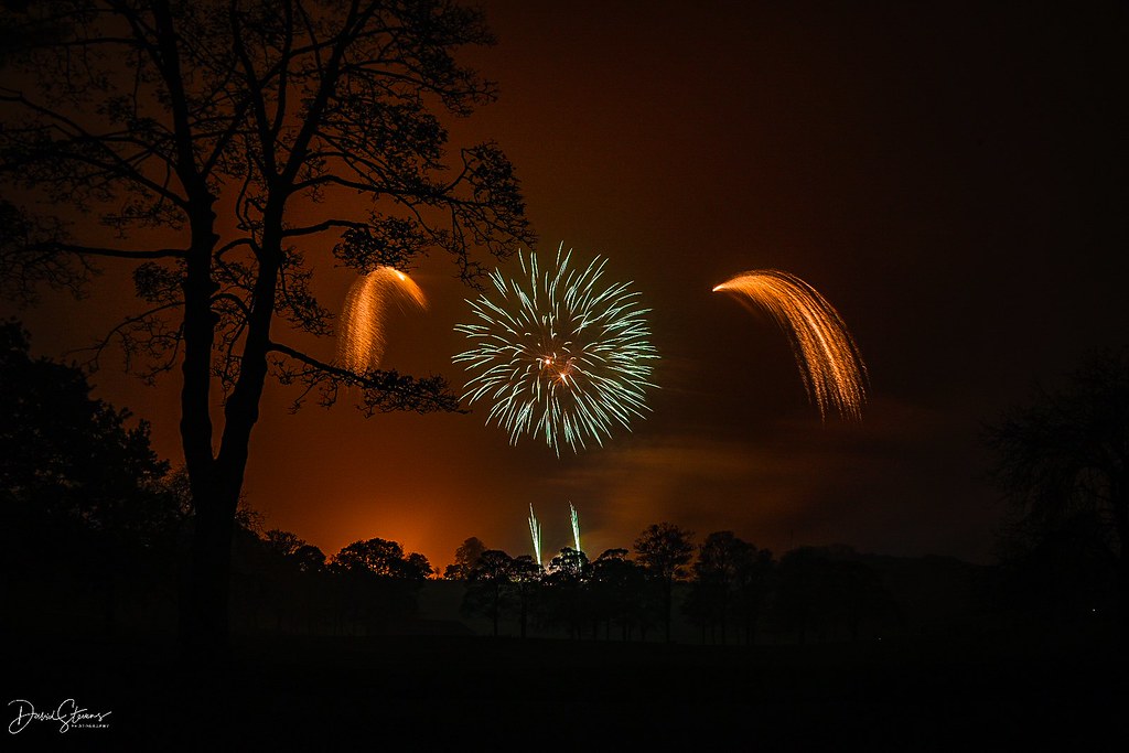 Dave Stevens - Bonfire night Roundhay Park
