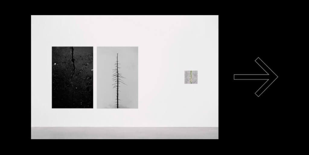 Francois-Xavier Marciat website