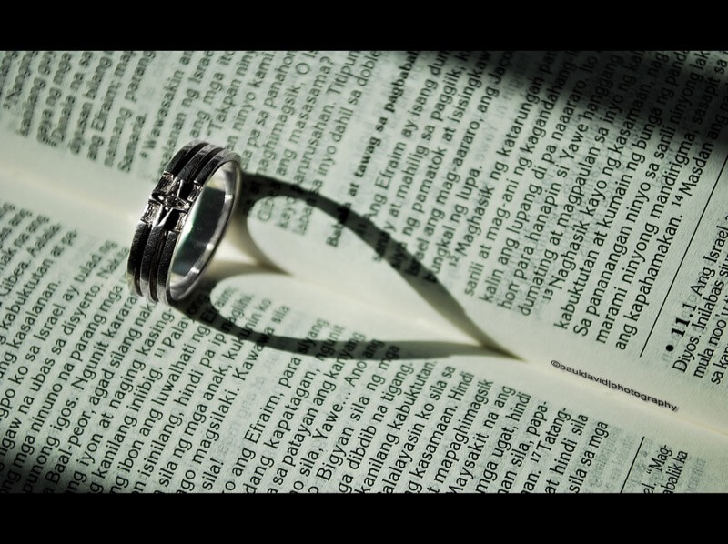 Paul David - The Shadow of Love