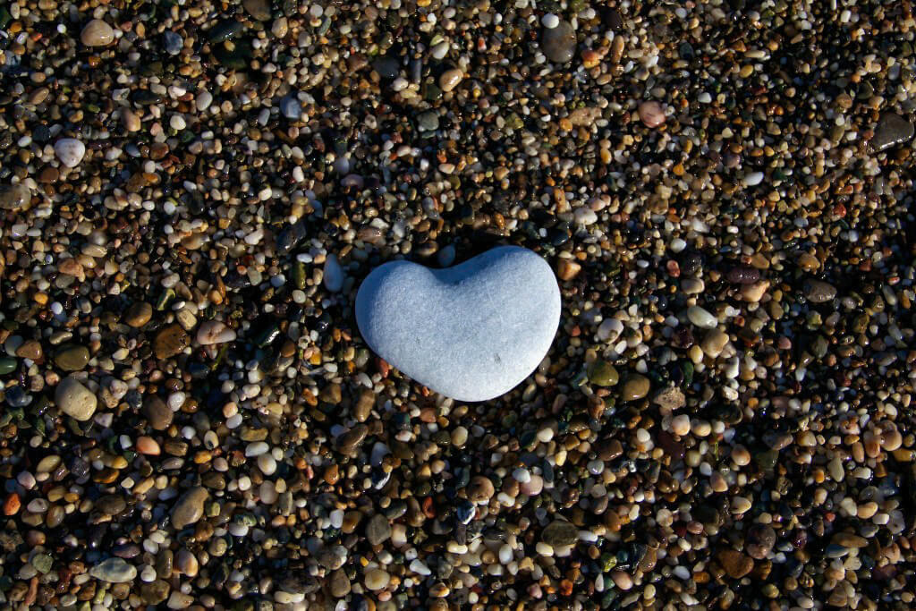 Peter Habbit - Stone Heart