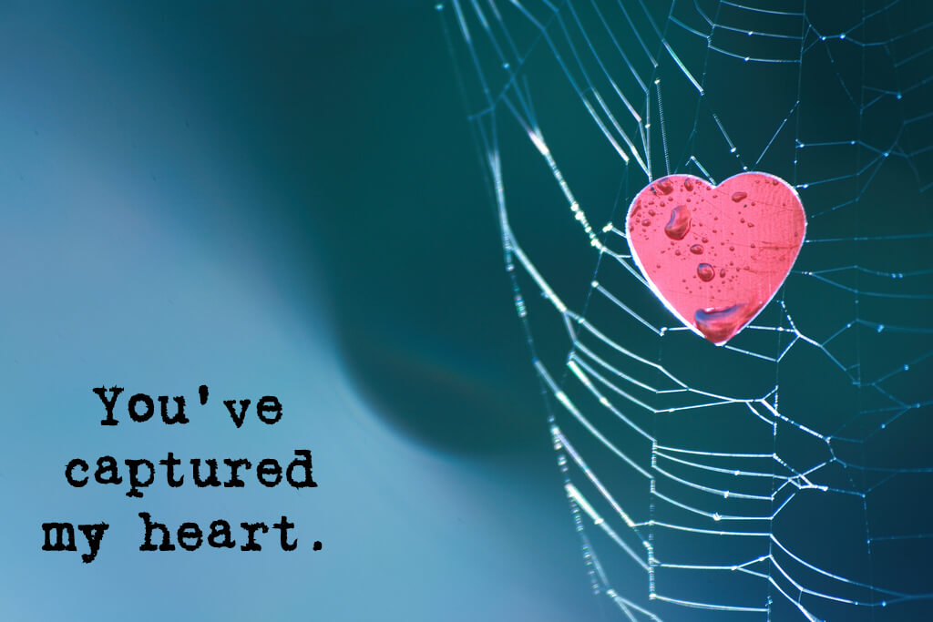 Neal Fowler - You've Captured My Heart