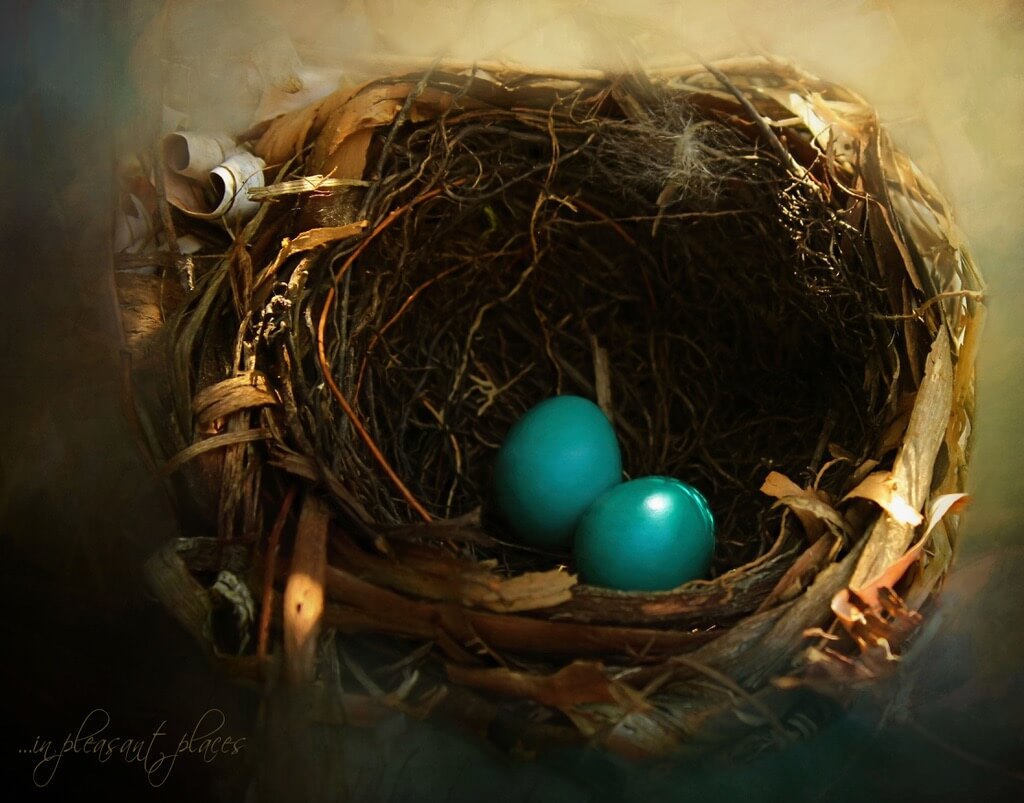 Joanna Kovalcsik - Love Nest