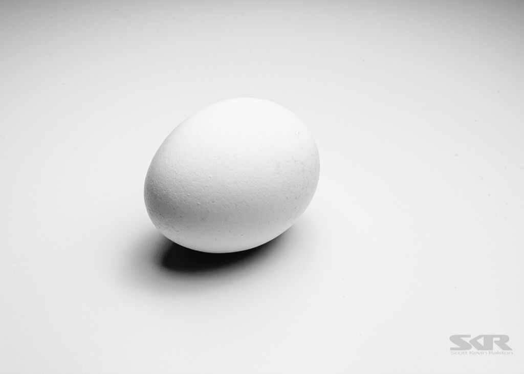 Scott Ralston - egg
