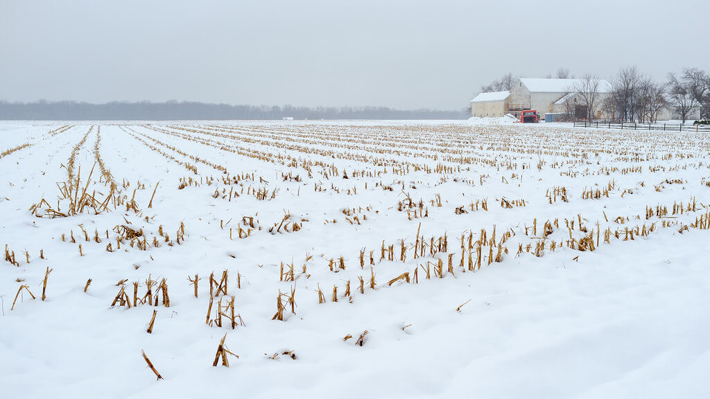 Andy Farmer - Winter Farm
