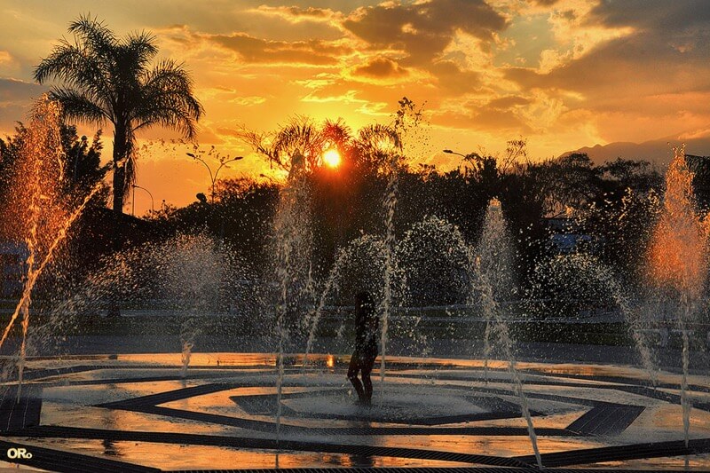 Otacílio Rodrigues - Sunset in the park