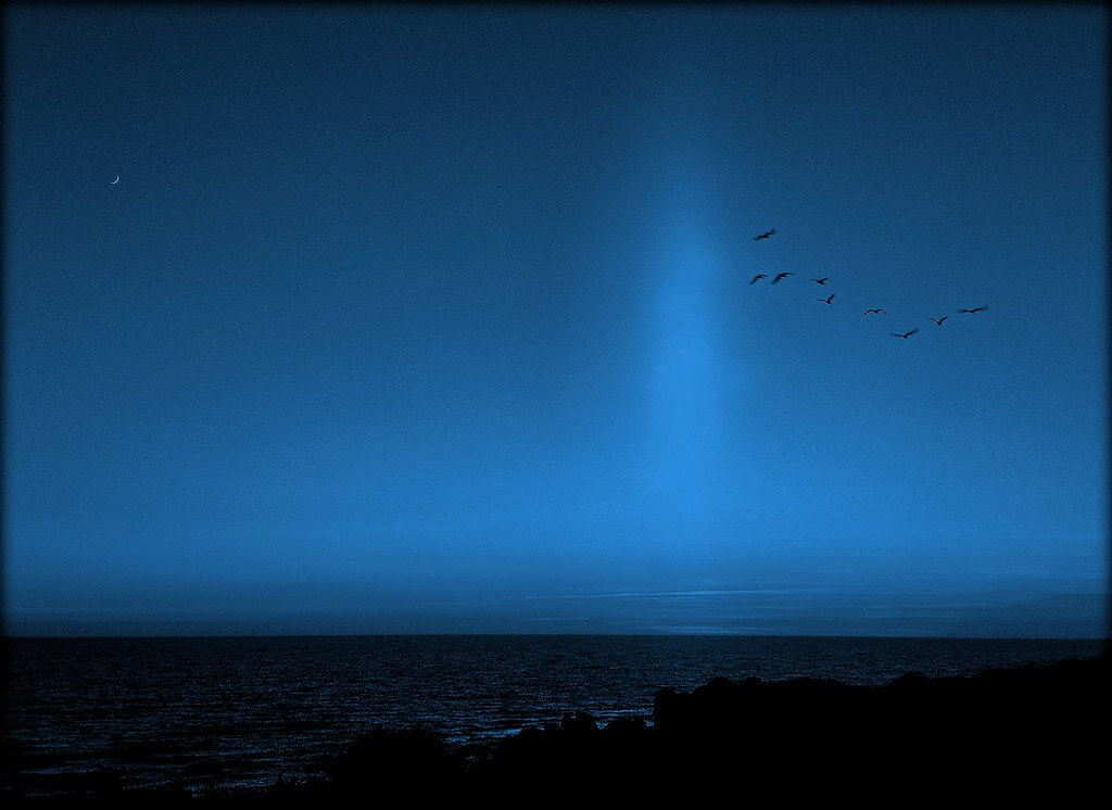 Manuel Acebedo - Roche Cape in Conil de la Frontera